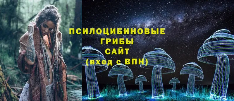 Псилоцибиновые грибы Magic Shrooms  OMG маркетплейс  Апрелевка 